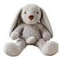 Conejo Dotado Peluche