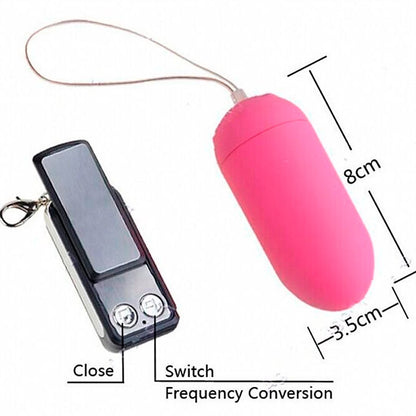 Huevo Vibrador Control de Carro