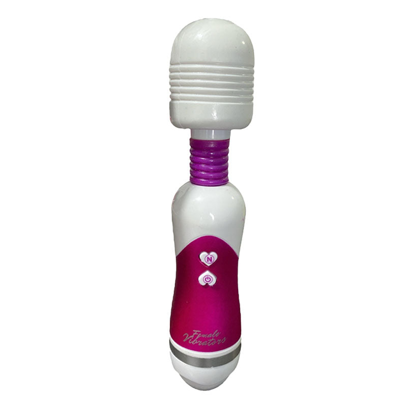 Hitachi Vibrator Massager Female