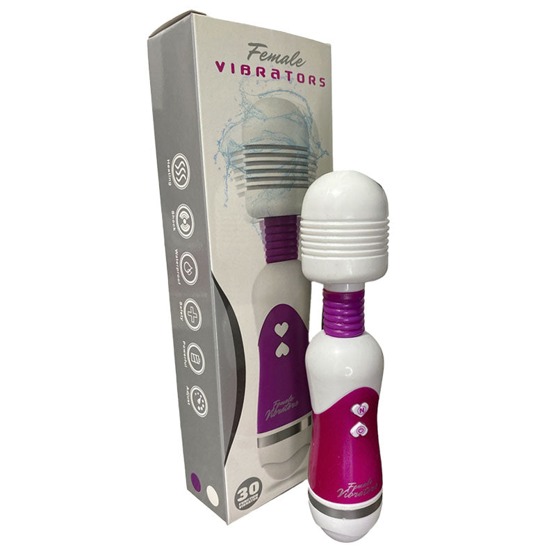 Hitachi Vibrator Massager Female