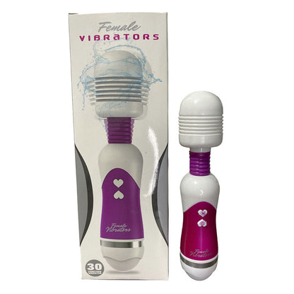 Hitachi Vibrator Massager Female