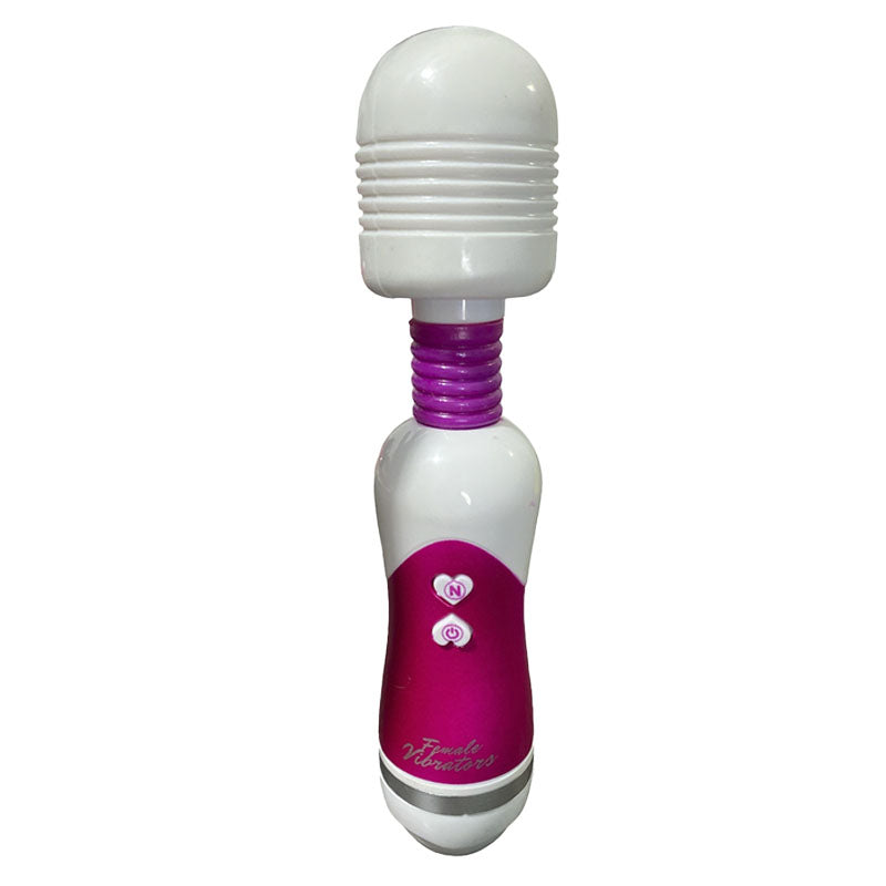 Hitachi Vibrator Massager Female